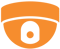 ptz icon