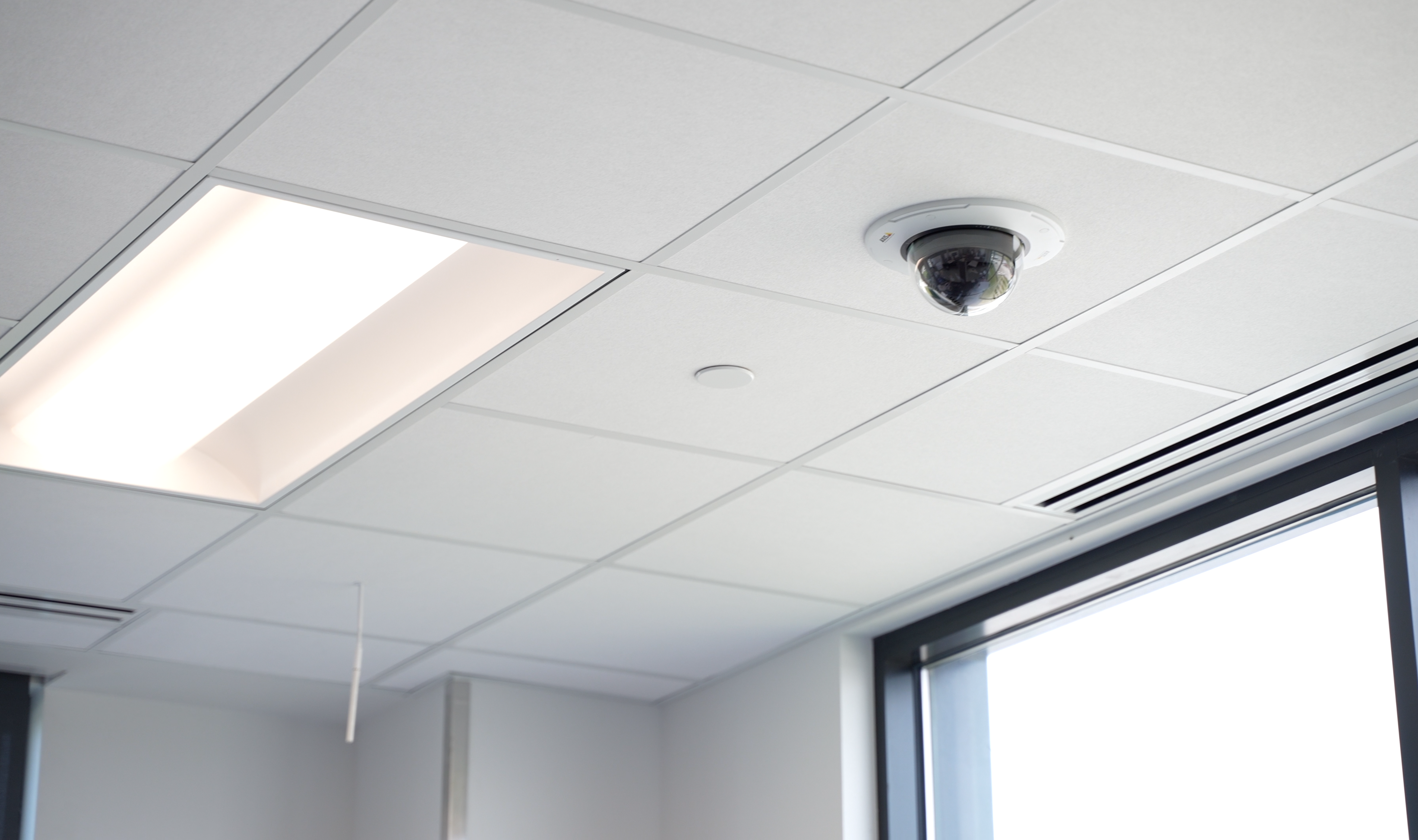 Screen Shot 2024-05-24 at 8.17.02 AM