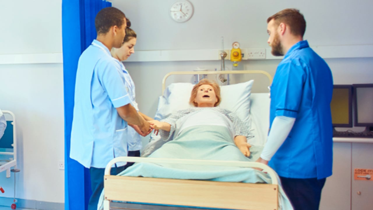 IVS-Simulation-Solutions