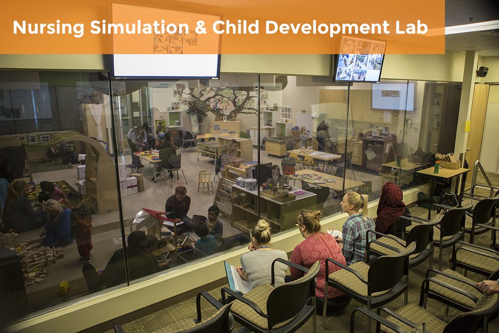 Nursing Sim and Child Dev Lab Case Study