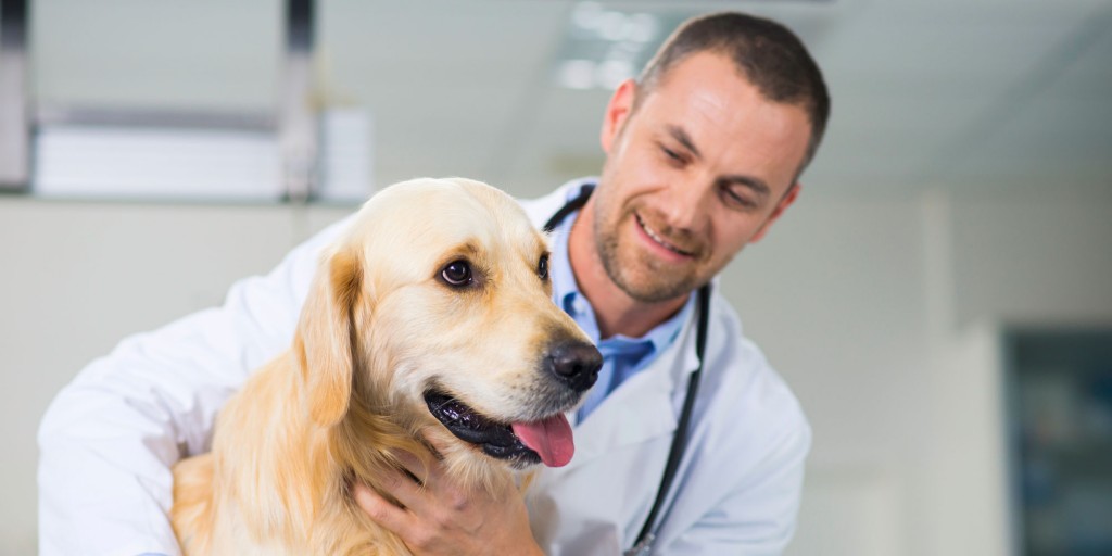 Video Recording System for Veterinary Training
